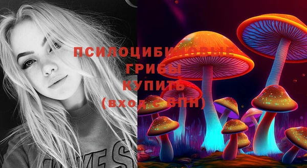 марки nbome Алексеевка