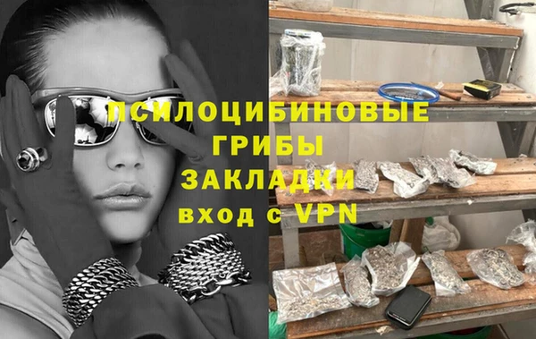 дмт Алексин